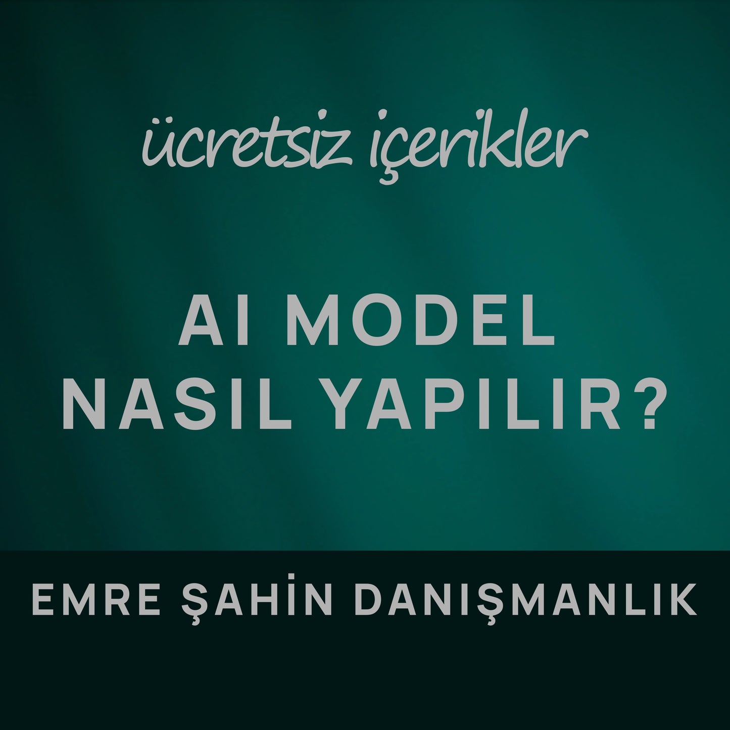 AI Model Nasıl Yapılır? | Emre Şahin Danışmanlık