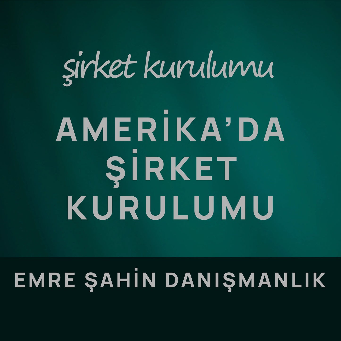 Amerika’da Şirket Kurulumu Hizmeti - Kurumsal Paket