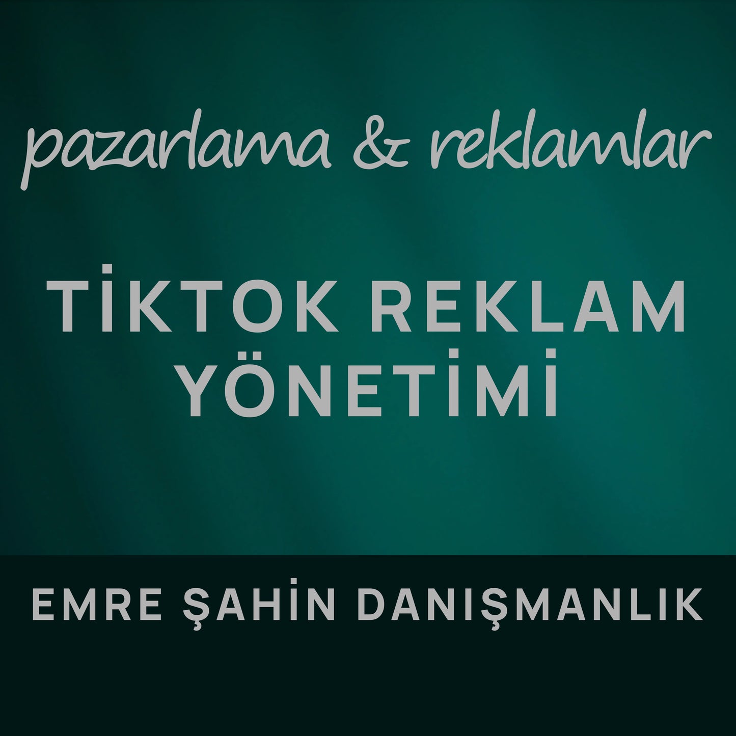 TikTok Reklam Yönetimi Hizmeti | 1 Aylık Paket