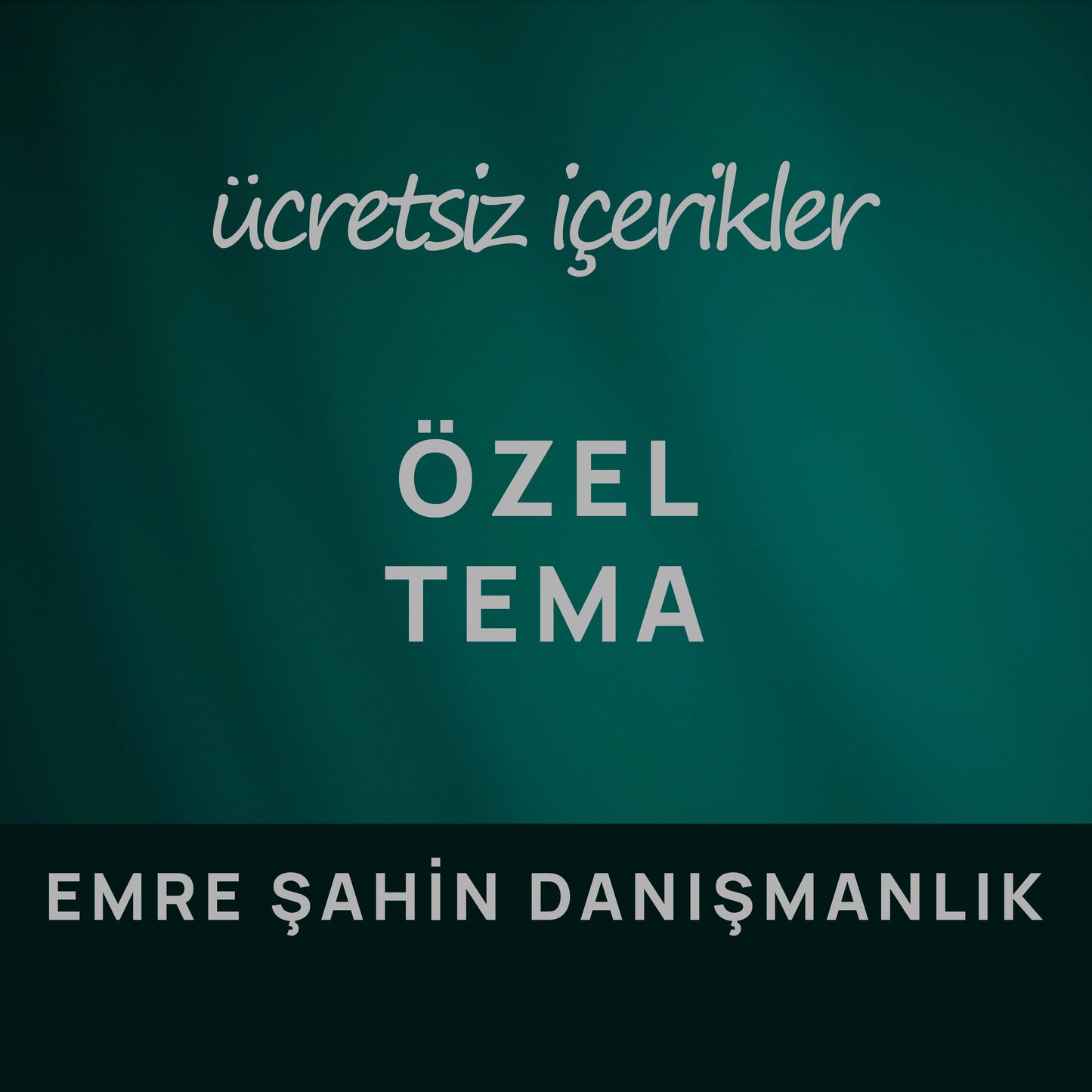 Özel Tema | Emre Şahin Danışmanlık