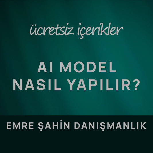 AI Model Nasıl Yapılır? | Emre Şahin Danışmanlık