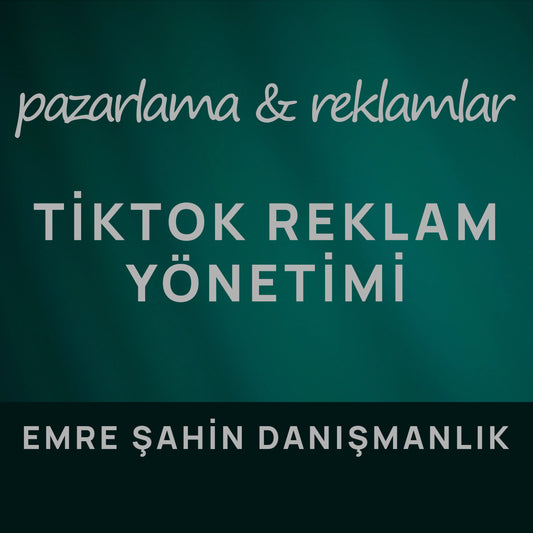 TikTok Reklam Yönetimi Hizmeti